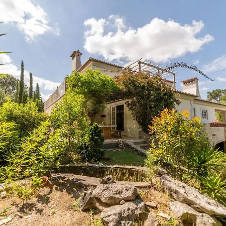 Alegria Villa